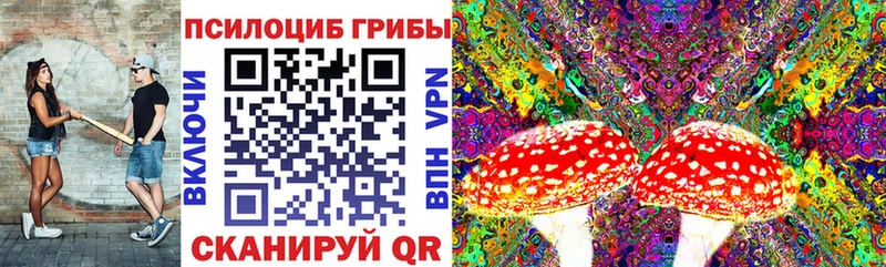 kraken зеркало  Дивногорск  Галлюциногенные грибы мицелий  как найти закладки 