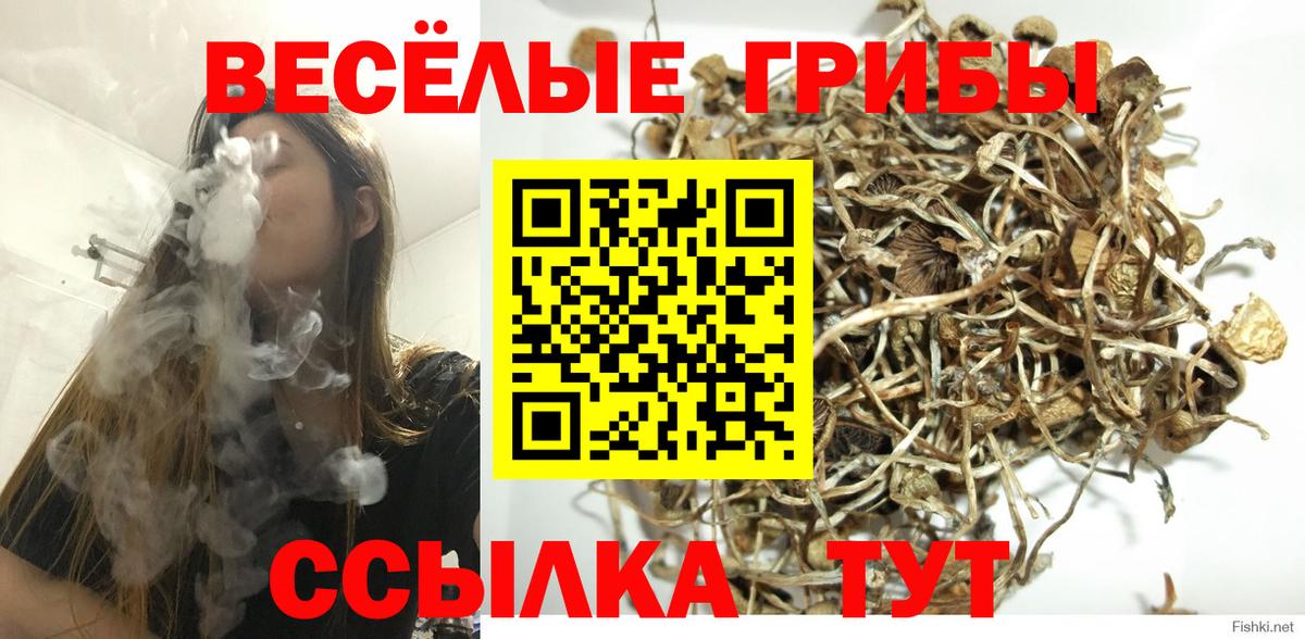 Дивногорск  Псилоцибиновые грибы мухоморы  Вход с VPN 